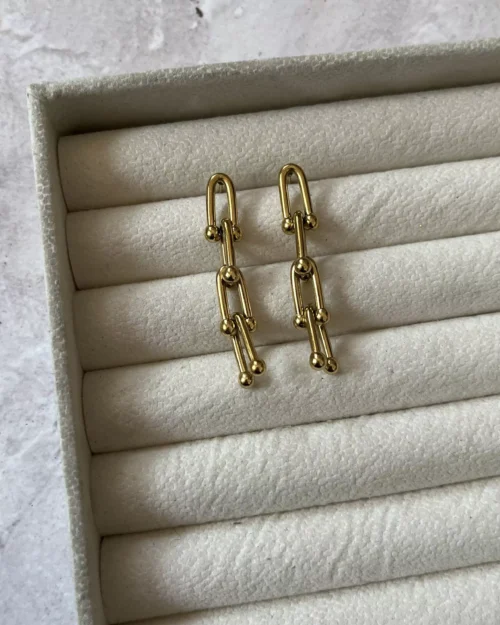 Chain Link Earrings 1