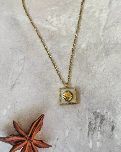 Sea Shell Box Necklace 1