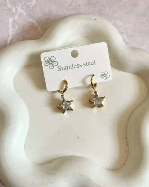 Tiny Star Earrings 1